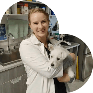 vet standing with pet